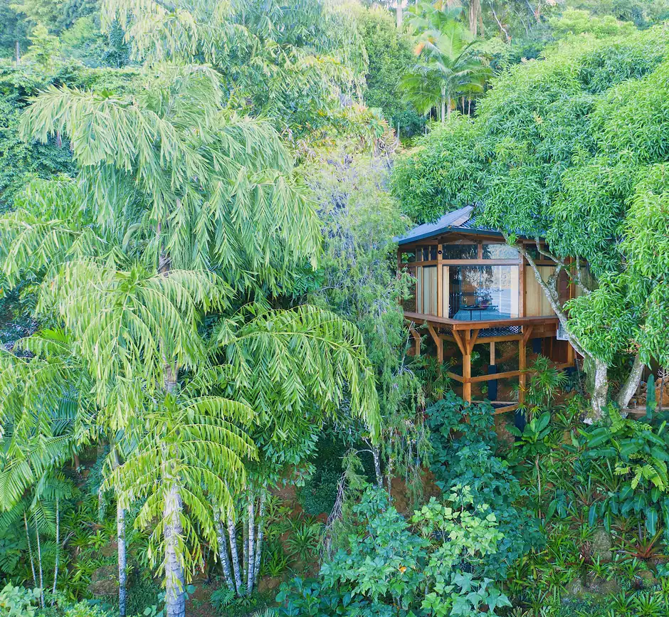 A Casa Proa quase escondida na densa vegetação tropical da encosta
