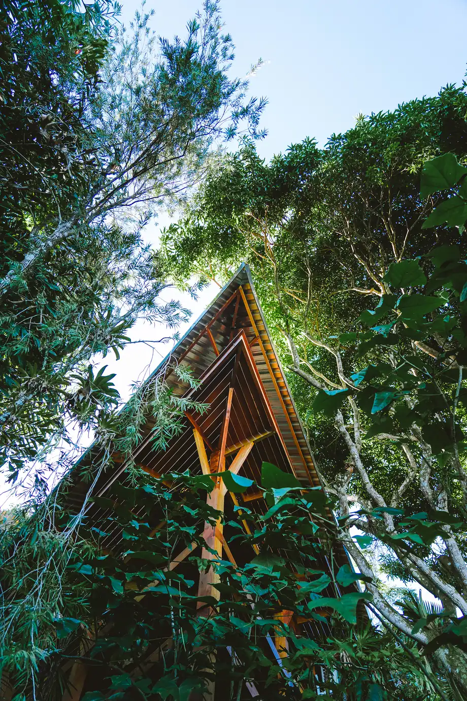 A silhueta triangular da Casa Proa vista de baixo, apontando para o céu entre as árvores