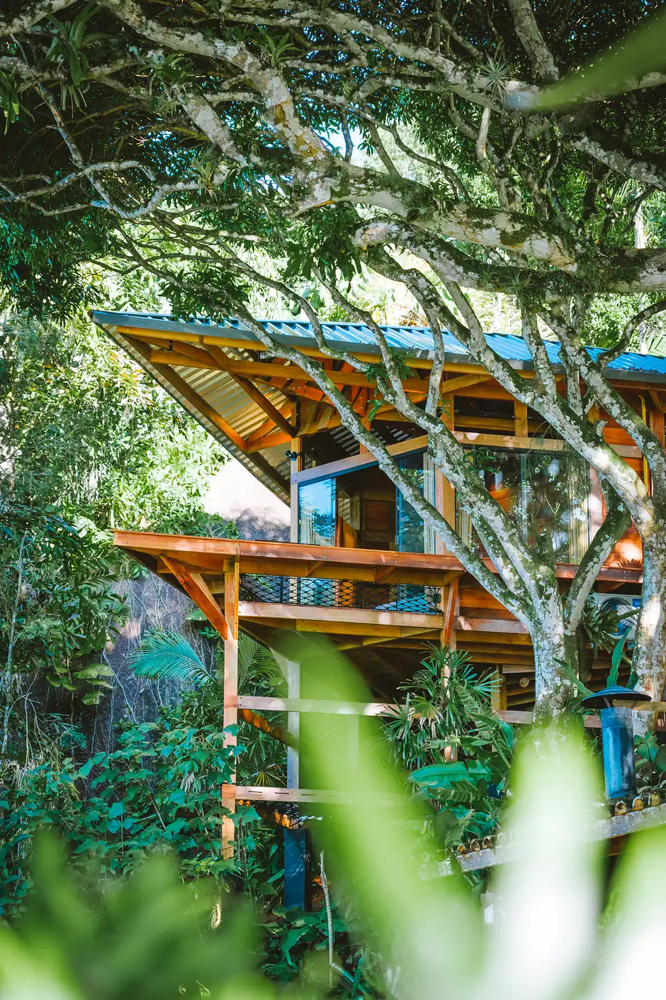 A estrutura de madeira e o telhado azul da casa, entre as árvores