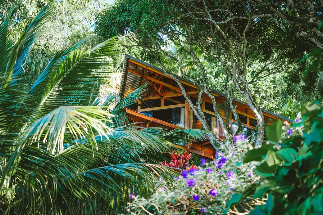 A fachada de madeira da casa entre as flores da mata